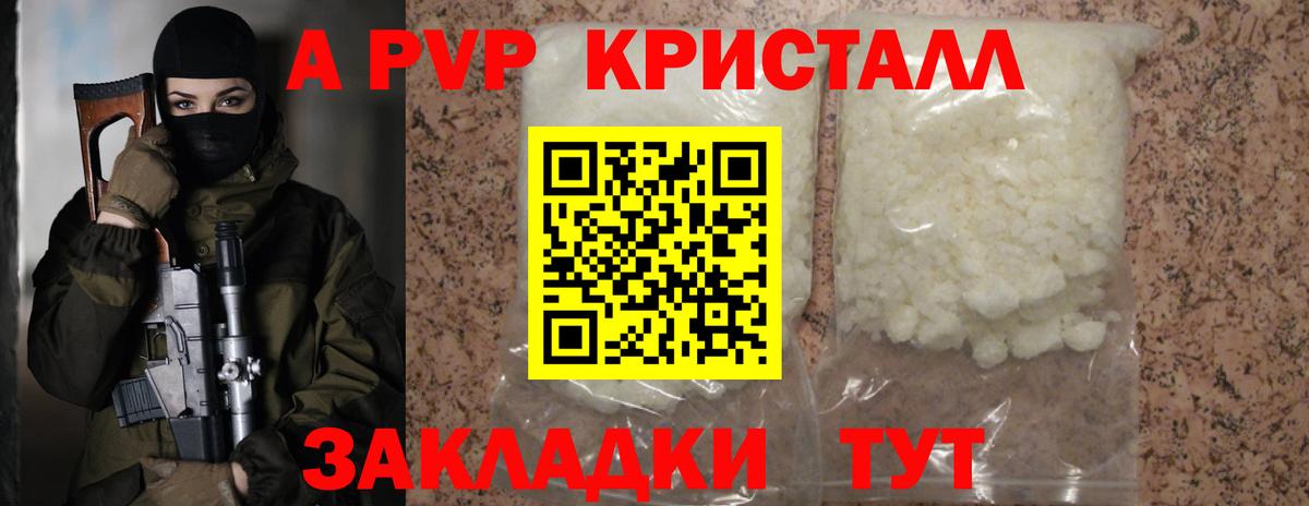 Альфа ПВП СК КРИС  А ПВП крисы CK  Вход с VPN  Кореновск  Альфа ПВП СК КРИС 
