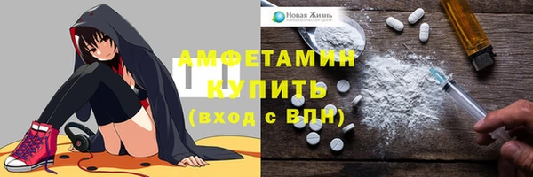 крисы Новокубанск