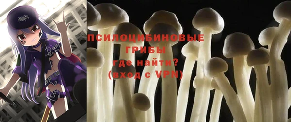 крисы Новокубанск