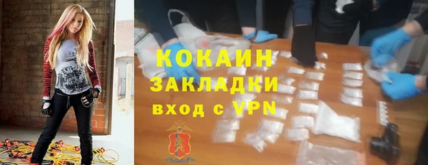 стафф Новозыбков