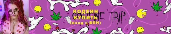 стафф Новозыбков
