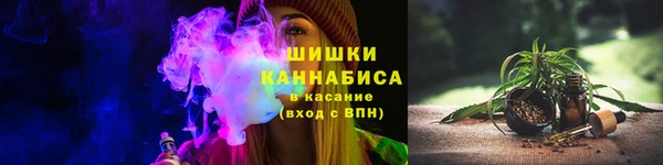 крисы Новокубанск