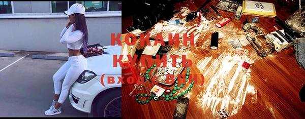 крисы Новокубанск