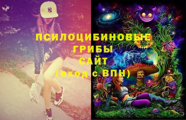 крисы Новокубанск