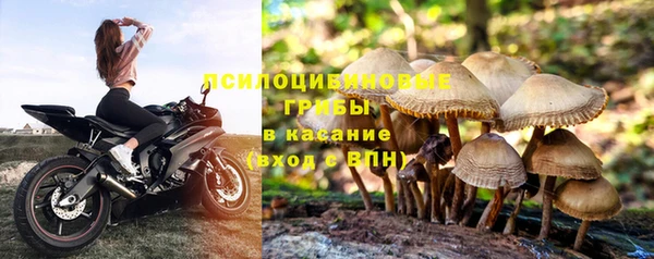 спайс Вязники