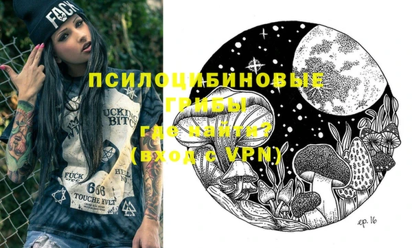 крисы Новокубанск