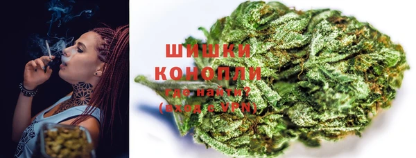 стафф Новозыбков