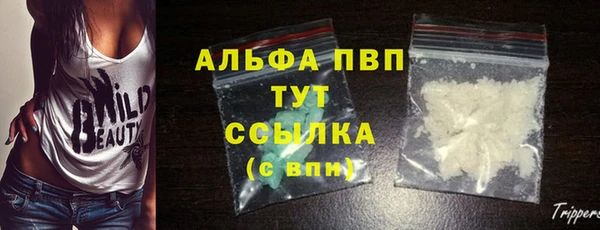 крисы Новокубанск