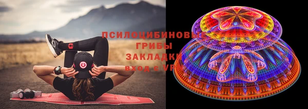 стафф Новозыбков